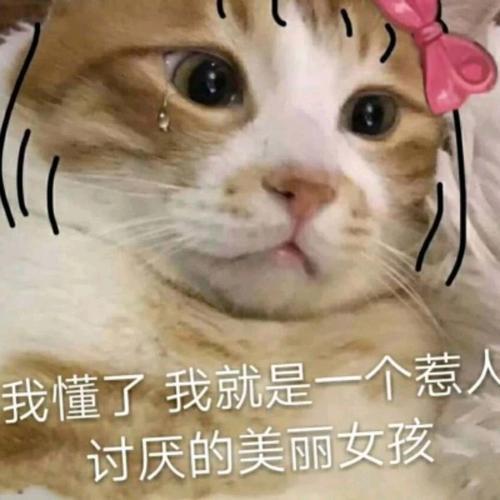 微信近期斗图恶搞表情包2020/7/14