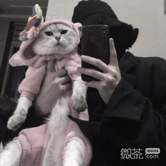 微信洒脱干练男生头像
