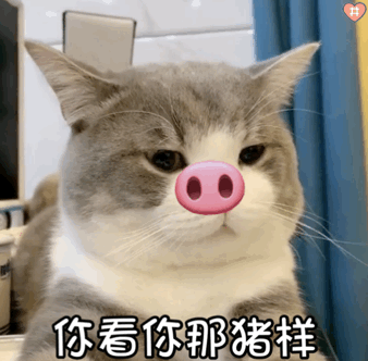 微信近期斗图恶搞表情包2020/7/16（二）