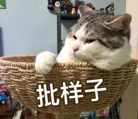 微信近期斗图恶搞表情包2020/7/16（二）