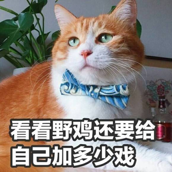 微信近期斗图恶搞表情包2020/7/17