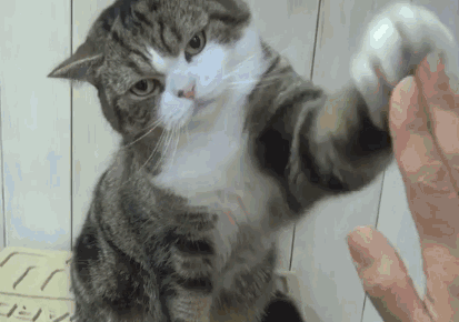 微信近期斗图恶搞表情包2020/7/17