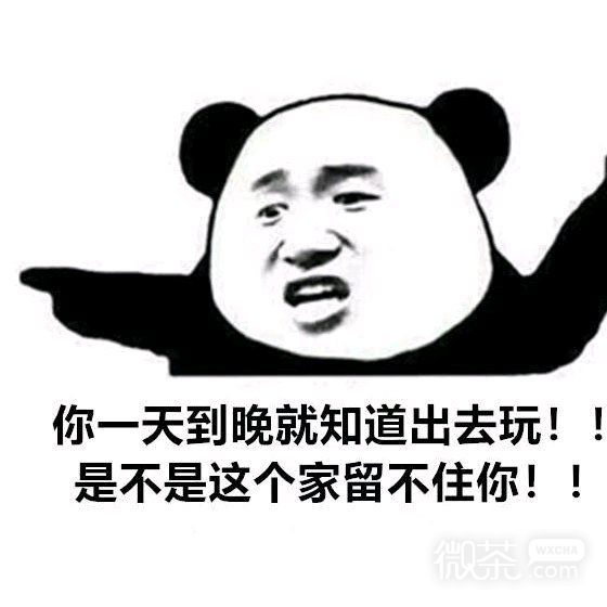 微信近期搞笑斗图表情包2020/7/21