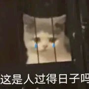 微信近期搞笑斗图表情包2020/7/21（二）