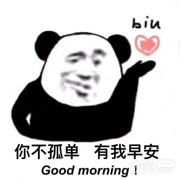 微信近期搞笑斗图表情包2020/7/21