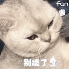 微信近期搞笑斗图表情包2020/7/21（二）