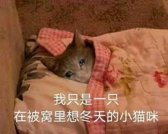 微信搞笑群聊斗图表情包2020/7/25