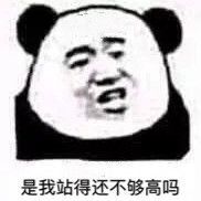 微信群聊金馆长熊猫头斗图表情包