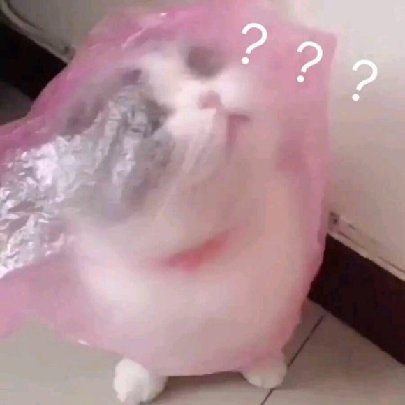 微信搞笑群聊斗图表情包2020/7/24（二）