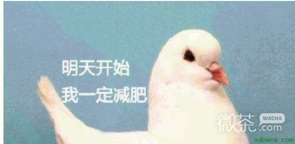 鸽友会微信聊天表情包