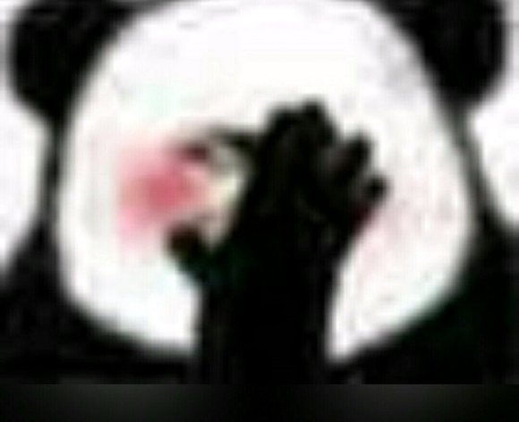 微信搞笑群聊斗图表情包2020/7/25