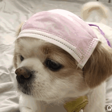 微信搞笑群聊斗图表情包2020/7/28