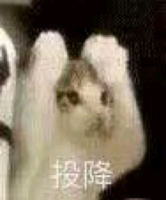 微信搞笑群聊斗图表情包2020/7/28