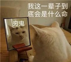 微信搞笑群聊斗图表情包2020/7/28(二)