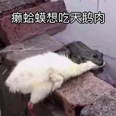 微信搞笑群聊斗图表情包2020/7/28