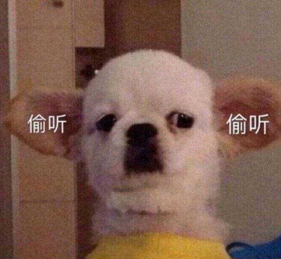 微信搞笑群聊斗图表情包2020/7/28(二)