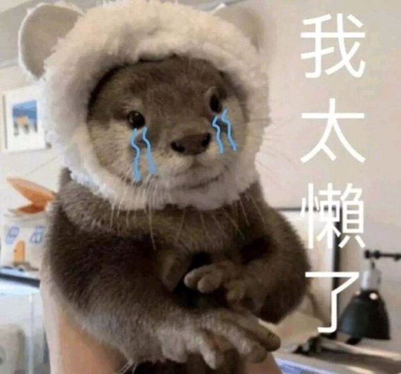 微信搞笑群聊斗图表情包2020/7/28(二)