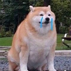 微信搞笑群聊斗图表情包2020/7/28(二)