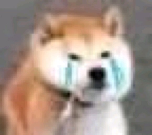 微信搞笑群聊斗图表情包2020/7/28