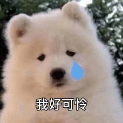 微信搞笑群聊斗图表情包2020/7/28(二)