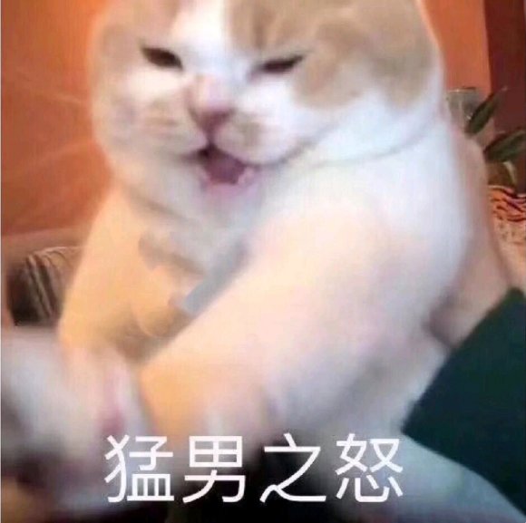 微信搞笑群聊斗图表情包2020/7/28