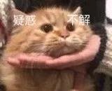 微信搞笑群聊斗图表情包2020/7/28(二)