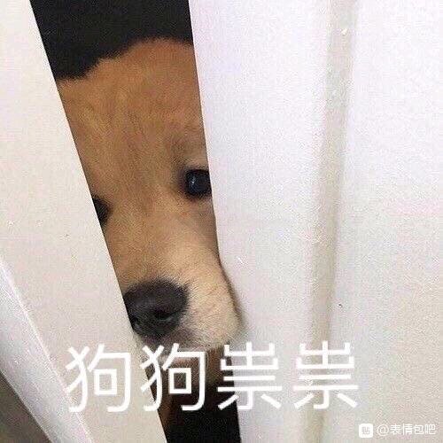 微信搞笑群聊斗图表情包2020/7/28