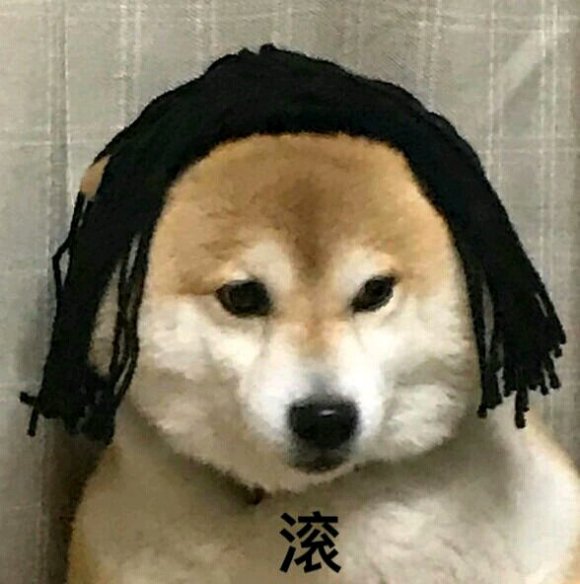 微信搞笑群聊斗图表情包2020/7/28(二)