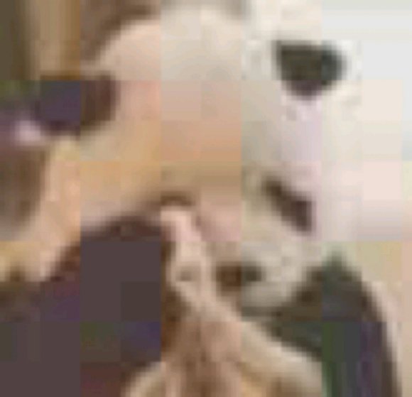 微信搞笑群聊斗图表情包2020/7/28