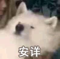 微信搞笑群聊斗图表情包2020/7/28