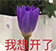 微信搞笑群聊斗图表情包2020/7/29