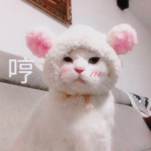 微信搞笑群聊斗图表情包2020/7/29