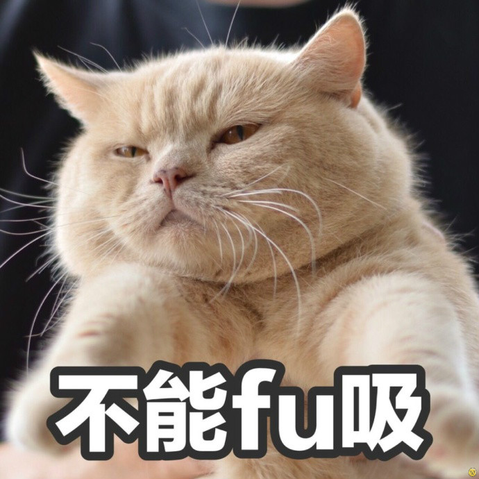 微信咖喱橘猫表情包