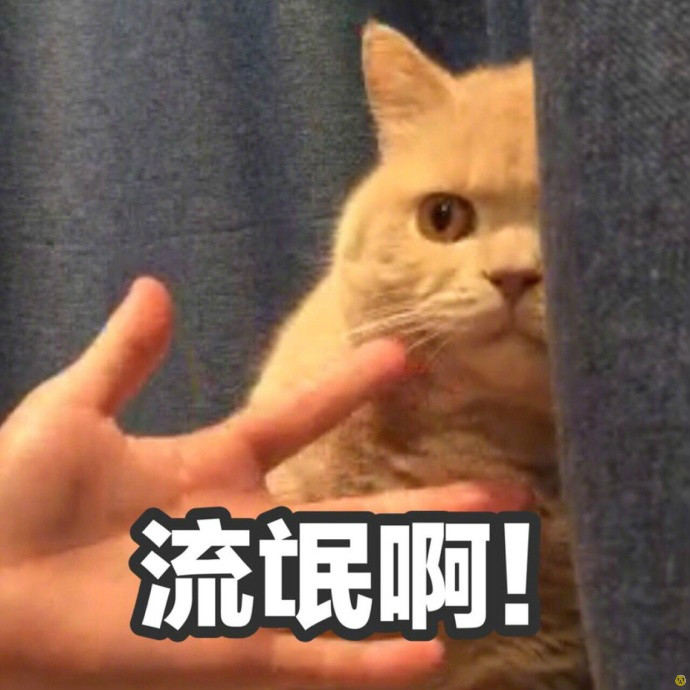 微信咖喱橘猫表情包