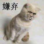 微信搞笑群聊斗图表情包2020/7/29(二)