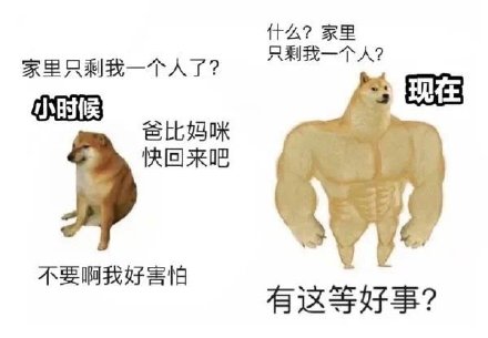 肌肉 doge 与小废狗表情包