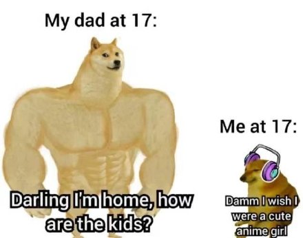 肌肉 doge 与小废狗表情包