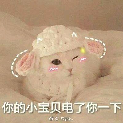 微信搞笑群聊斗图表情包2020/8/3