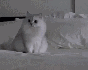 微信搞笑群聊斗图表情包2020/8/3（二）