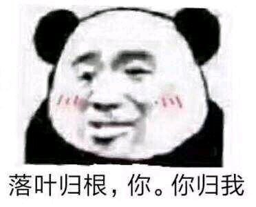 微信搞笑群聊斗图表情包2020/8/3