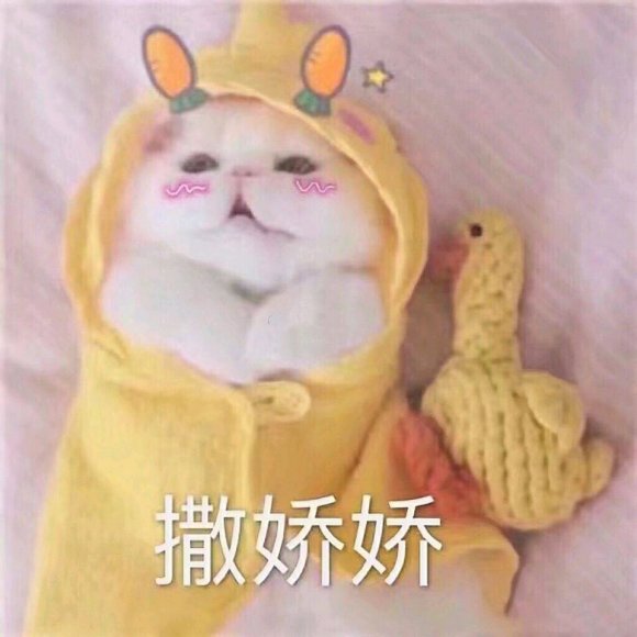 微信搞笑群聊斗图表情包2020/8/3（二）