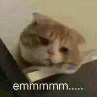 微信搞笑群聊斗图表情包2020/8/3