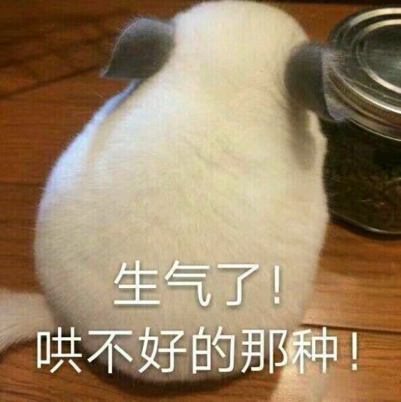 微信搞笑群聊斗图表情包2020/8/3