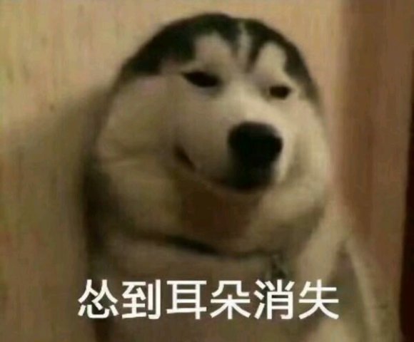 微信搞笑群聊斗图表情包2020/8/3