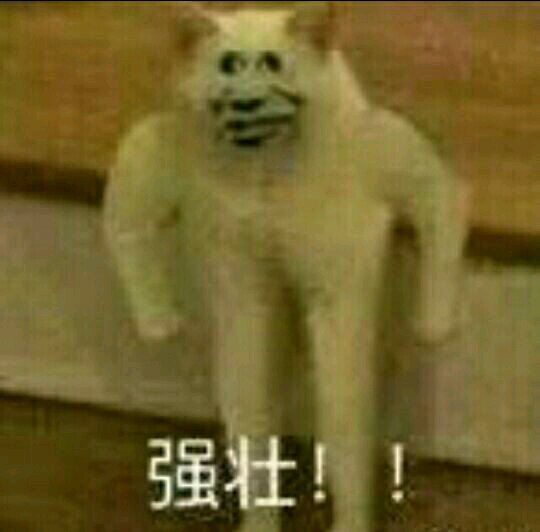 微信搞笑群聊斗图表情包2020/8/3