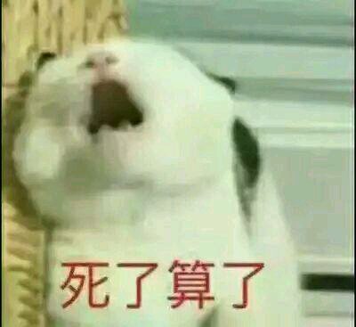 微信搞笑群聊斗图表情包2020/8/3