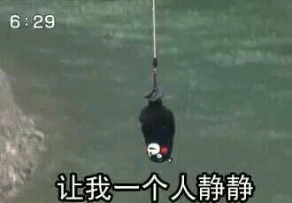 微信搞笑群聊斗图表情包2020/8/3