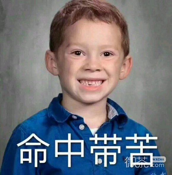 微信搞笑群聊斗图表情包2020/8/3