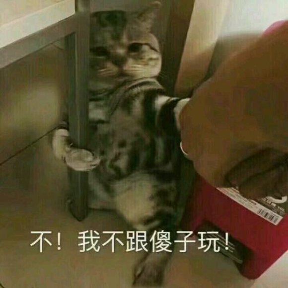 微信搞笑群聊斗图表情包2020/8/3