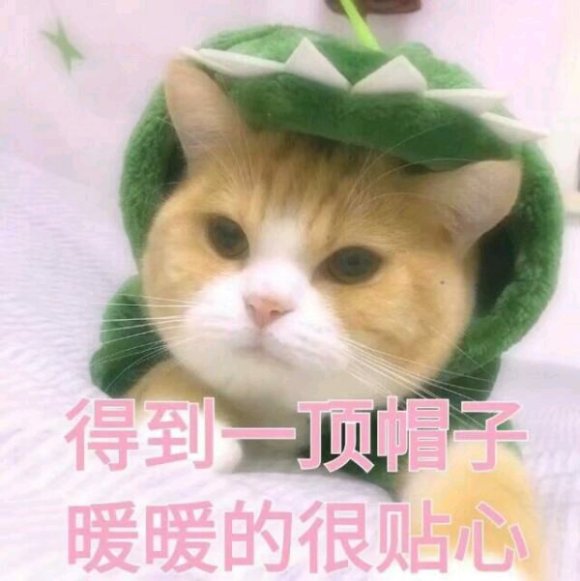 微信搞笑群聊斗图表情包2020/8/4（二）